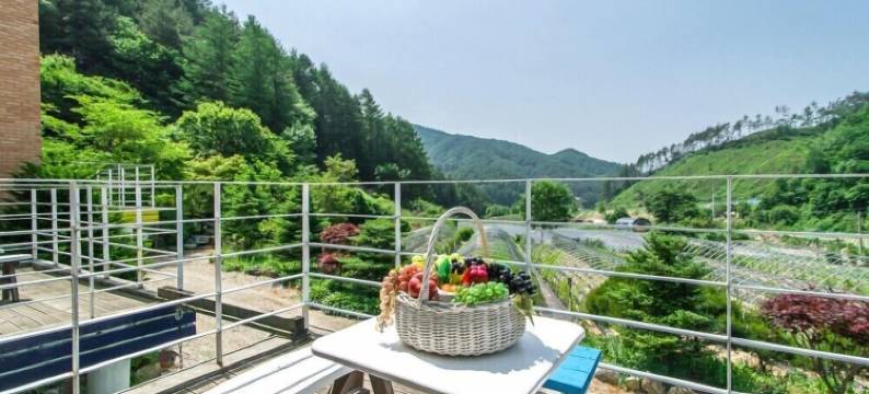 平昌阳光朱尼旅馆(Sunny Junny Pension)图片