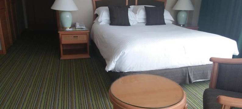 嘉逸豪庭酒店(Grand Palace Hotel)图片