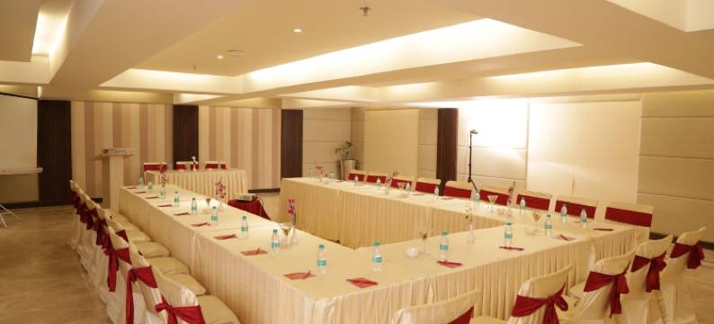 阿格拉宫殿PL酒店(The P L Palace Agra)图片