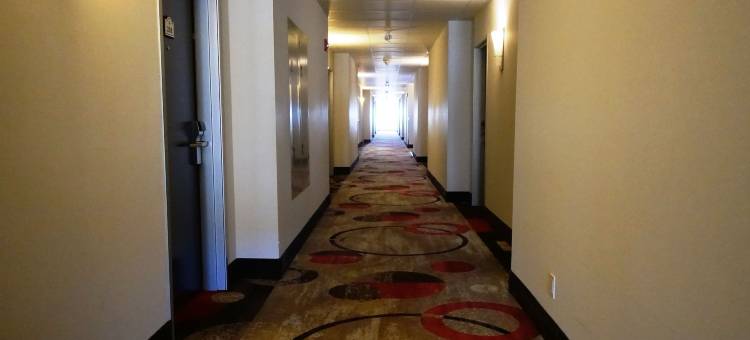 穆斯乔温德姆华美达酒店(Ramada by Wyndham Moose Jaw)图片