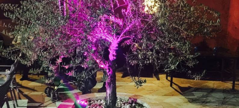 莱斯加莱酒店(Auberge les Galets)图片