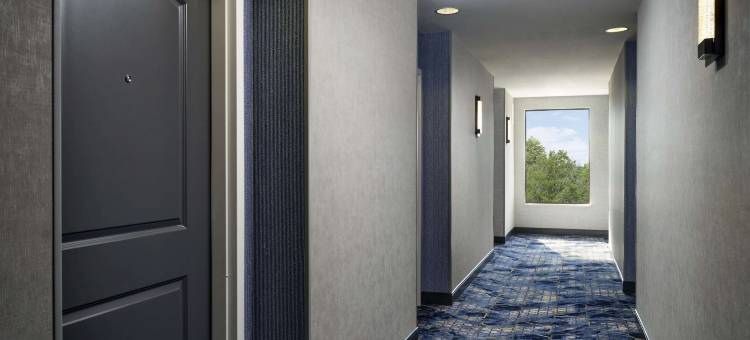 希尔顿欢朋套房酒店-达拉斯DFW机场西(Hampton Inn & Suites Dallas-DFW Arpt W-SH 183 Hurst)图片