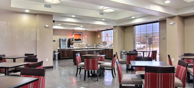 南米德兰I-20舒适酒店(Comfort Inn Midland South I-20)图片