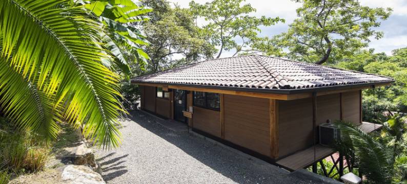 菩提树瑜伽度假村(Bodhi Tree Yoga Resort)图片