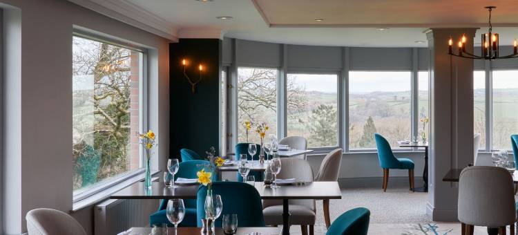 鼹鼠度假村 - 酒店房间(The Mole Resort - Hotel Rooms)图片