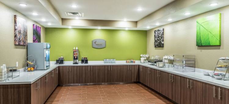 舒眠酒店及套房沃斯堡 - 化石溪(Sleep Inn & Suites Fort Worth - Fossil Creek)图片