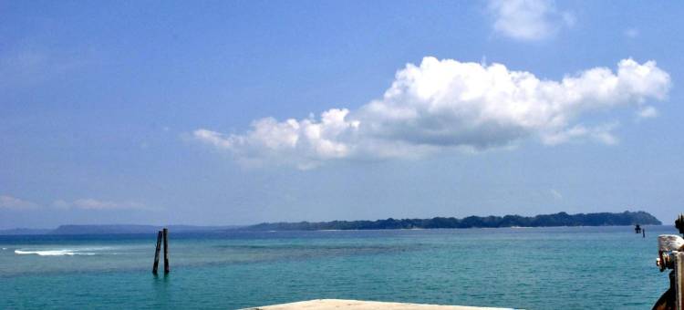 尼尔海洋贝壳酒店(Sea Shell Neil)图片