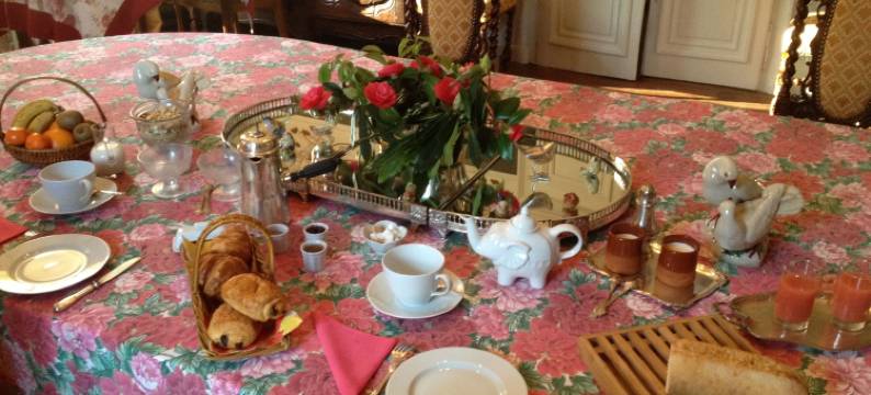 城堡连锁普莱西-安茹酒店(Château du Plessis - Anjou)图片