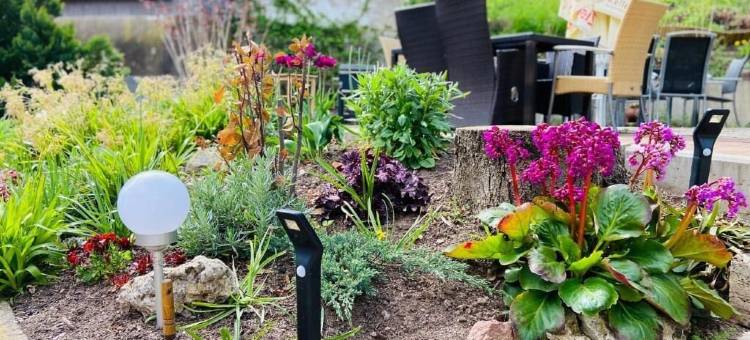 卡塔里讷迅勒旅馆(Pension Katharinenschule)图片