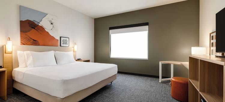 拉斯维加斯机场希尔顿Spark酒店(Spark by Hilton Las Vegas Airport)图片