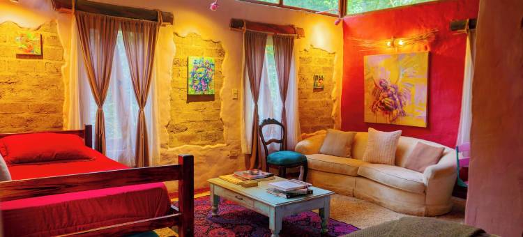 乔阿奇植物保护区(Reserva Botánica Choachí)图片