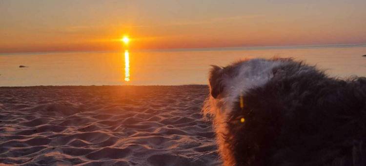 Ferienpark-艾兴瓦尔德(Ferienpark-Eichenwald)图片