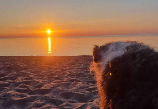 Ferienpark-Eichenwald Hotel Overview