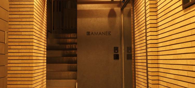 HOTEL AMANEK 银座东部(HOTEL AMANEK Ginza East)图片
