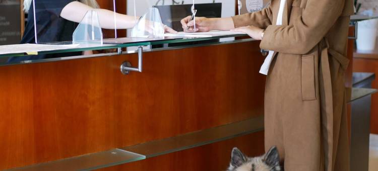格拉茨斯托伊瑟尔酒店(Hotel Stoiser Graz)图片
