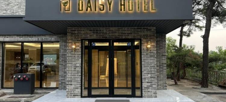 黛西酒店(Daisy Hotel)图片
