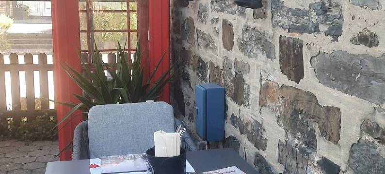 亨布拉斯酒店(Henblas Hotel)图片