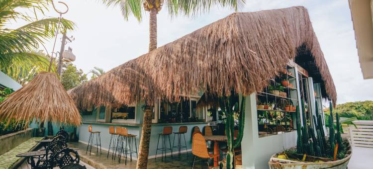 皮帕仙人掌旅舍(Cactus Lodge Pipa)图片