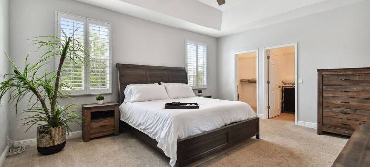 Tampa "Good Times" Home+GameRoom, Sleeps 12, 4br/3.5bth, Great Location/Backyard图片
