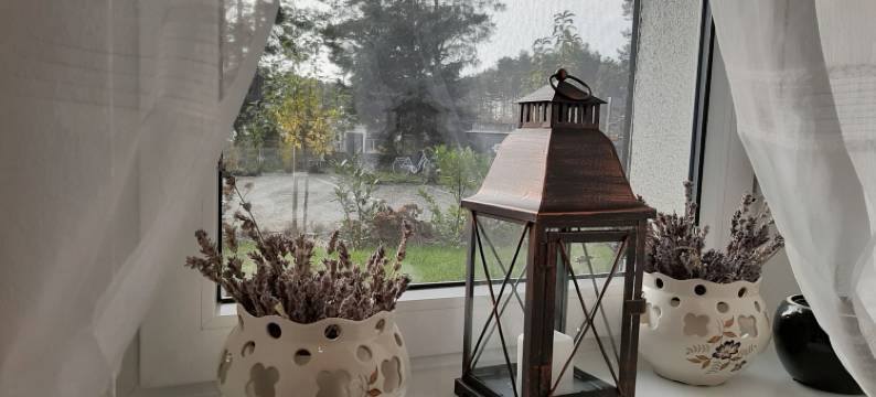 马克旅馆(Pension Mark)图片