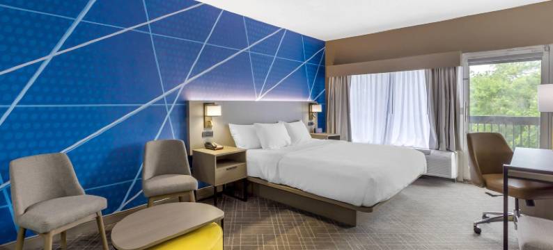 布莱斯伍德-北哥伦比亚舒适酒店(Comfort Inn Blythewood - North Columbia)图片