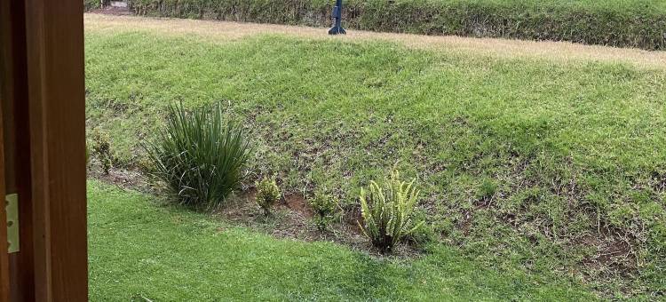 乌尔塔米席翁小屋酒店(Cabañas Huerta la Mision, Zacatlán)图片