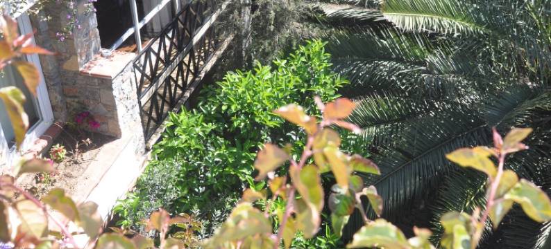 艾维诺酒店(El Vino Hotel & Suites)图片