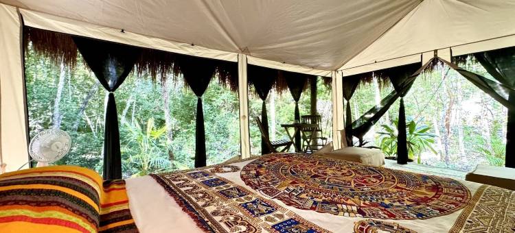 荷花露营(Glamping Bunga Lotus)图片