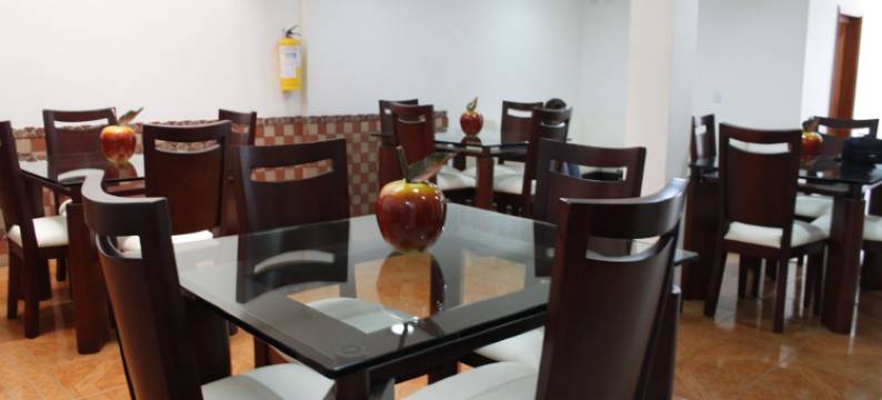 帕隆格酒店(Hotel Palonegro)图片