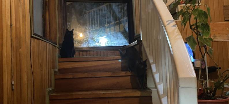 安库伦莫家庭旅馆(Casa Ankulenmo)图片