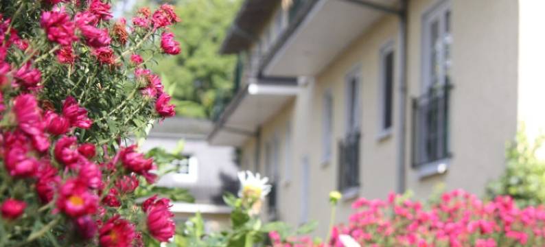 姆瑞兹公园菲瑞恩皇宫酒店(FerienResidenz MüritzPark)图片