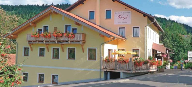 Vogl的克莱门特酒店(Landgasthof Vogl - Zum Klement)图片