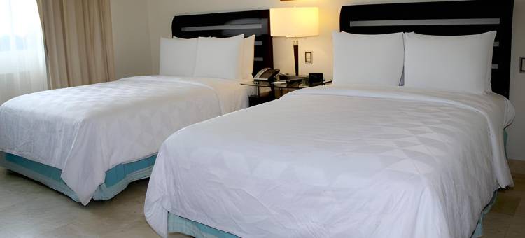 比亚埃尔莫萨机场假日酒店(Holiday Inn VILLAHERMOSA AEROPUERTO by IHG)图片