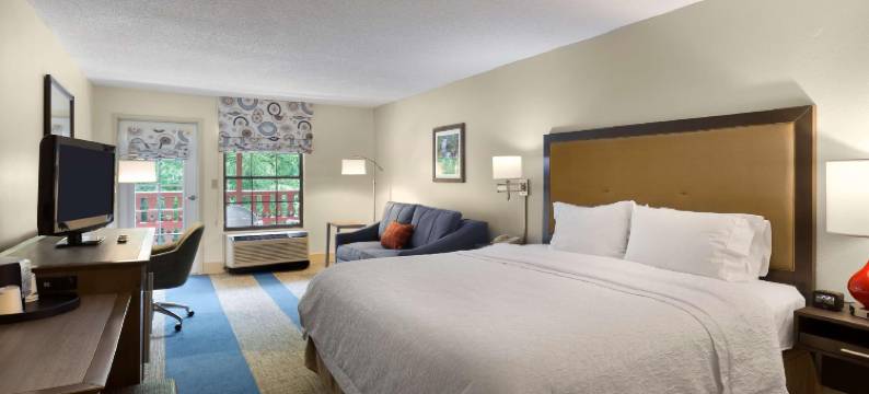 希尔顿欢朋酒店-海伦(Hampton Inn Helen)图片