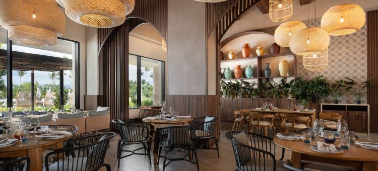 泽米米切斯蓬塔卡纳全包度假村，希尔顿Curio精选(Zemi Miches Punta Cana All-Inclusive Resort, Curio Collection by Hilton)图片