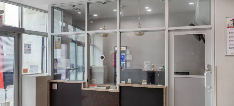 红屋顶PLUS+布鲁克林-弗拉特布什大道(Red Roof PLUS+ Brooklyn - Flatbush Ave)图片