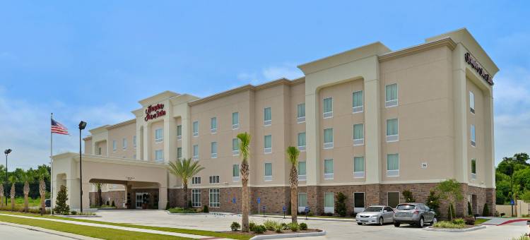 哈姆普顿酒店及套房哈维/新奥尔良西岸(Hampton Inn & Suites Harvey/New Orleans West Bank)图片