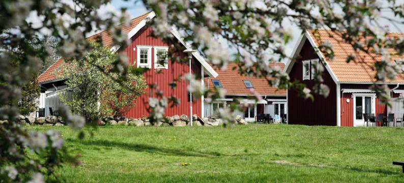 奥普维肯拉根赫特施酒店(Apelviken Lägenhetshotell)图片