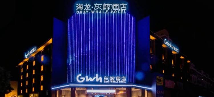 海龙灰鲸酒店(高碑店市政府火车站店)图片