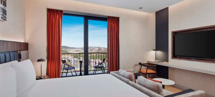 金色郁金香格布基姆科贾埃利(Golden Tulip Gebkim Kocaeli)图片