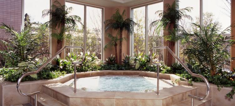 千叶科技园区大仓酒店(Okura Akademia Park Hotel)图片