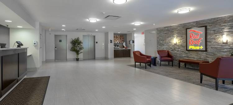 红顶PLUS酒店-波士顿曼斯费尔德福克斯波罗(Red Roof Plus+ Boston - Mansfield/ Foxboro)图片