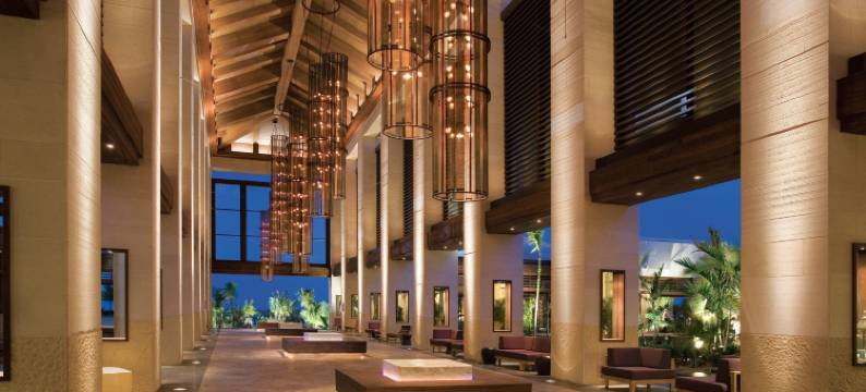 亚特兰蒂斯湾酒店- 天堂岛(The Cove at Atlantis)图片