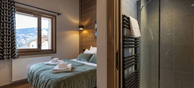 特雷森斯瑞亚兹的光芒住宅(Terresens - l'Eclat des Veriaz - Megève - Praz-Sur-Arly - New)图片