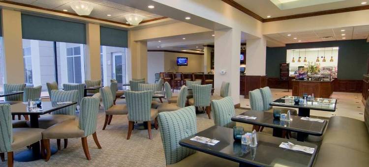 杰克逊明珠希尔顿花园酒店(Hilton Garden Inn Jackson Pearl)图片