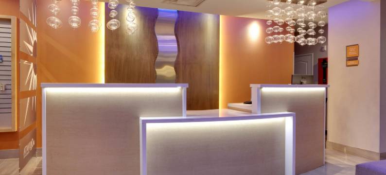 达拉斯乐福费尔德拉昆塔温德姆套房酒店(La Quinta Inn & Suites by Wyndham Dallas Love Field)图片