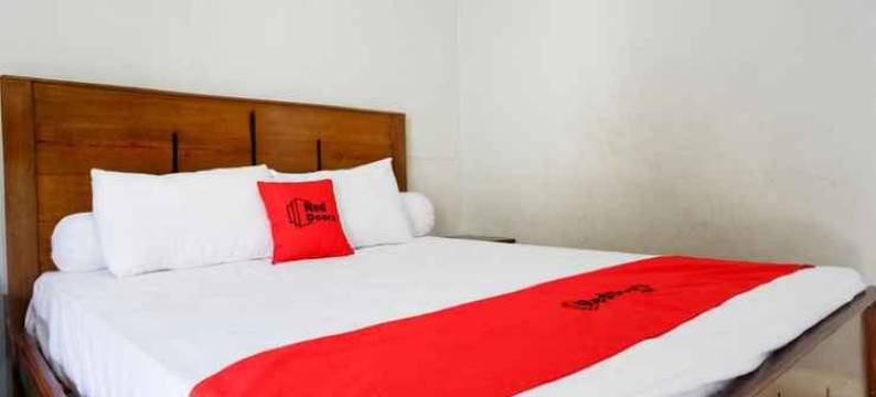 红多兹酒店-近帕卢朱弗利亚机场穆提亚拉SIS(RedDoorz Near Mutiara Sis Al Jufrie Airport Palu)图片
