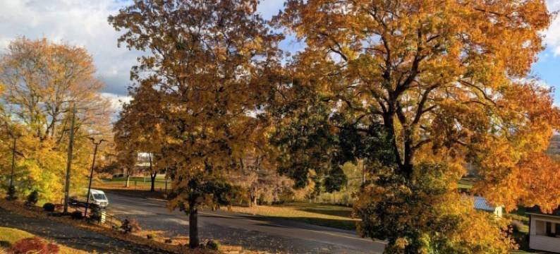 瀑布汽车旅馆(The Falls Motel)图片