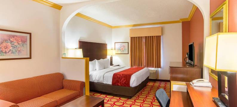 凯艺套房酒店(Quality Suites)图片