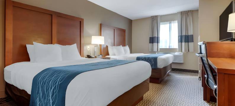 大学舒适酒店(Comfort Inn University)图片